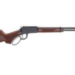 HENRY H1 BANDIT 22LR 18.5" 15RD