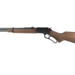 CHIAPPA LA322 TD 22MAG 18.5"