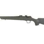 CVA CASCADE 22LR 18" TB 10RD GRAY