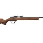 RETAY ASEND 22LR 16" 10RD BLK WLNT